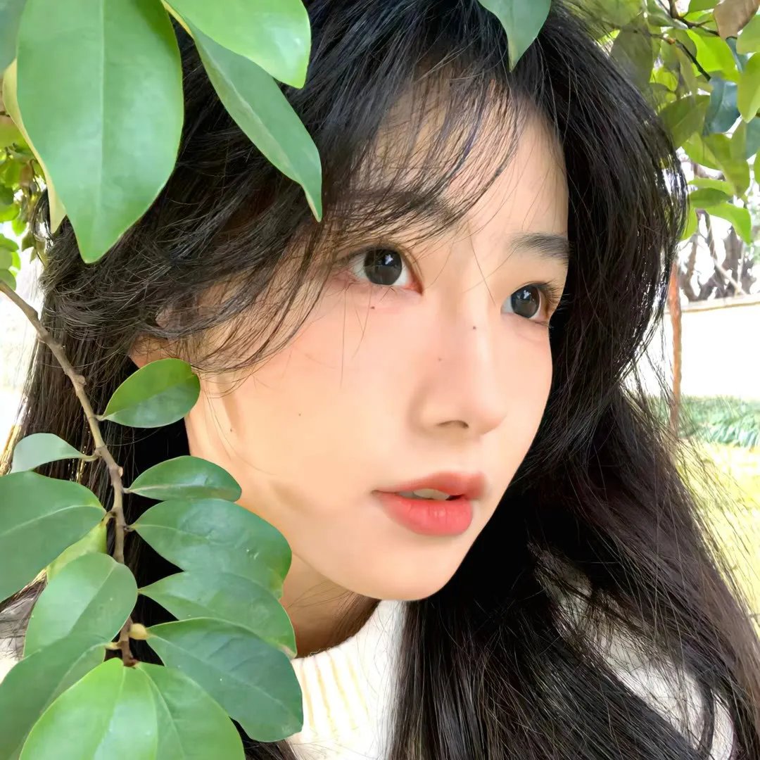 天伦